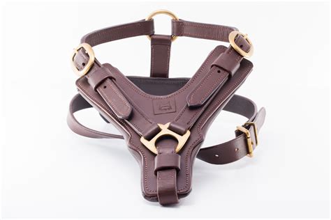 luxury leather dog harness